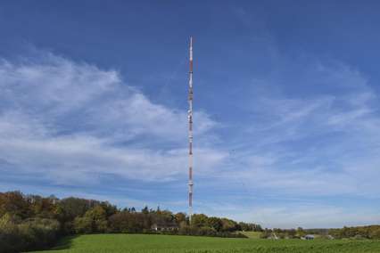 전자레인지 찌든때 제거법 전자레인지 찌든때 제거법