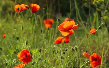 여름 전기요금 20% 아끼는 꿀팁 5가지
