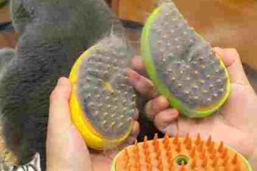 S5c38c035030a4b408d162229afba449ez