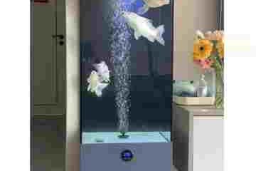 S68ef17fa20a542e68c419ebb746743a5V