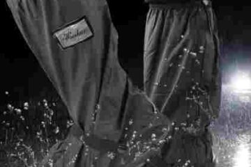 Se12a67ca149944ebb58c395043f7eba7v